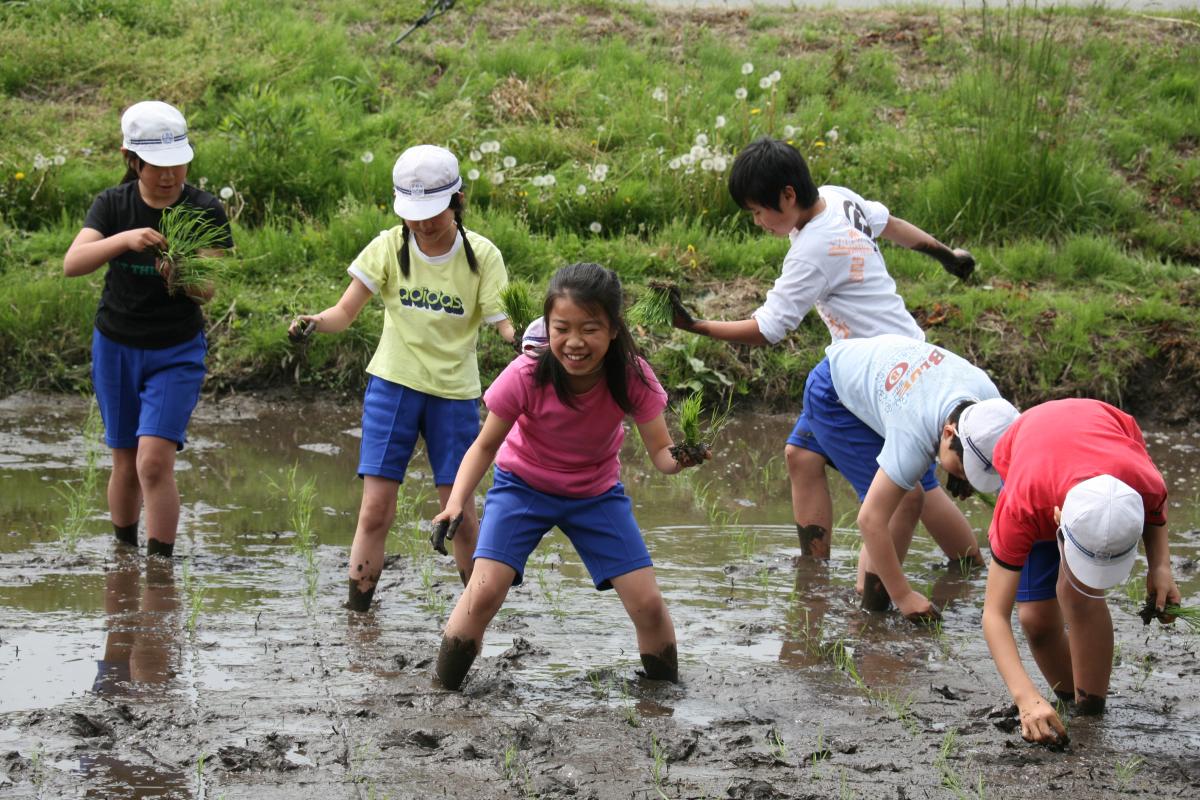 泥にまみれても笑顔が絶えない楽しい田植え体験