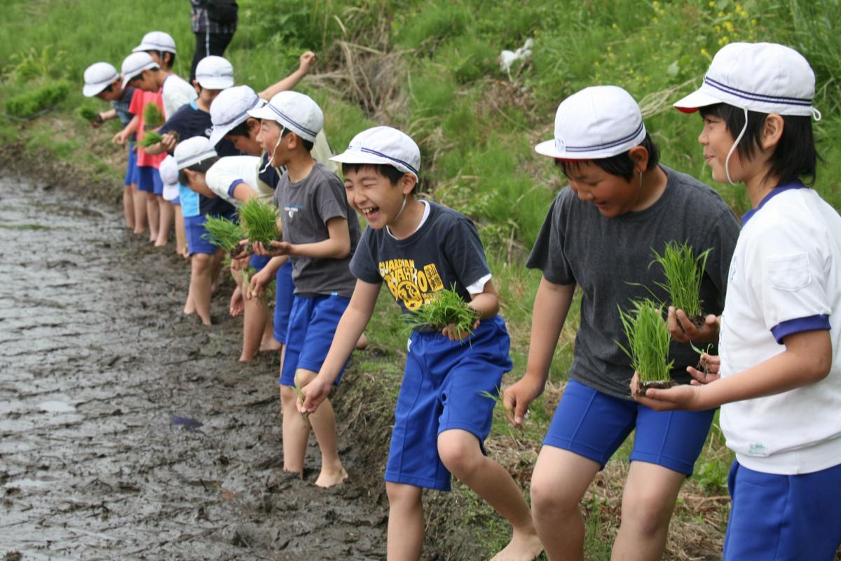 田んぼの泥の感覚に大きな声を上げてはしゃぐ子どもたち