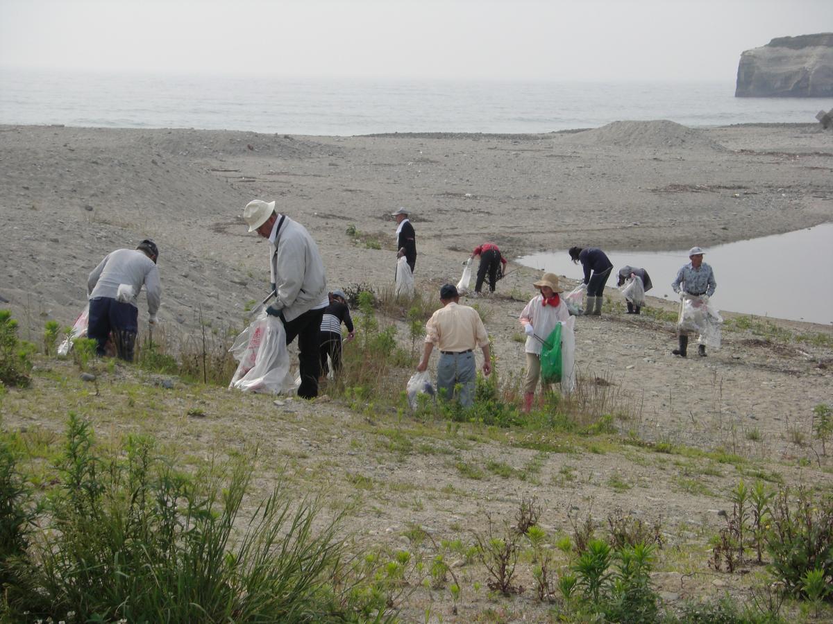 海岸に捨てられた空き缶や空き瓶、木くずを拾う参加者