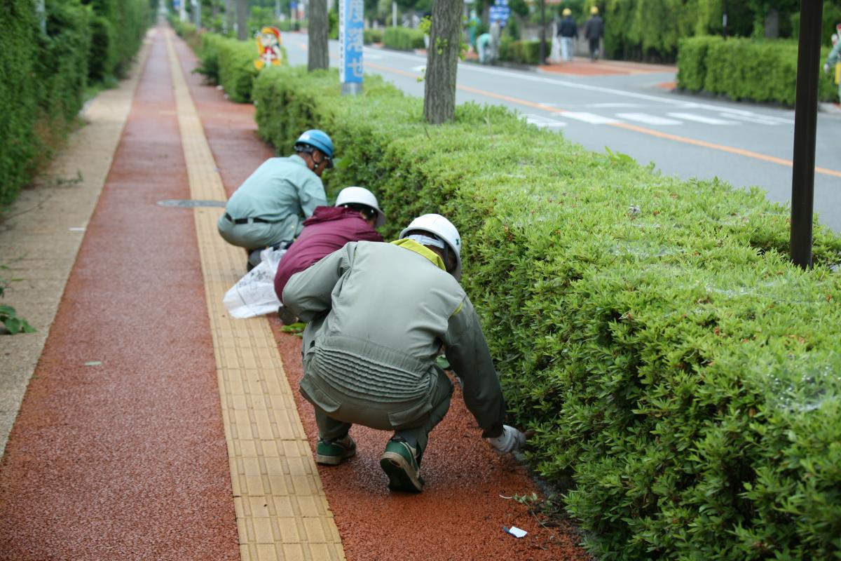 植え込みの刈り込み後に残った木くずなどを集める作業員