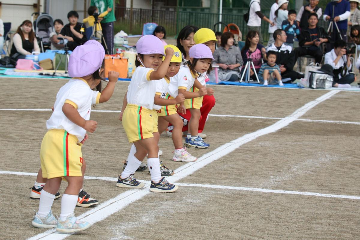 少し緊張した顔でスタートラインに立ち「よーいドン！」の合図を待つ園児たち