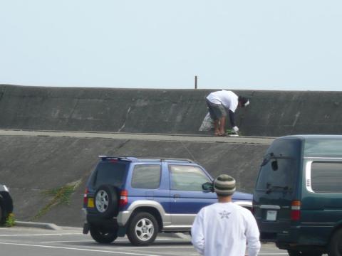 大好きな海、海岸をきれいに気持ちよく使おう、使ってもらおうと行った活動です