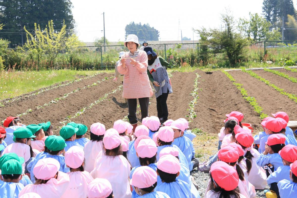 苗の植え方の説明を聞く園児たち