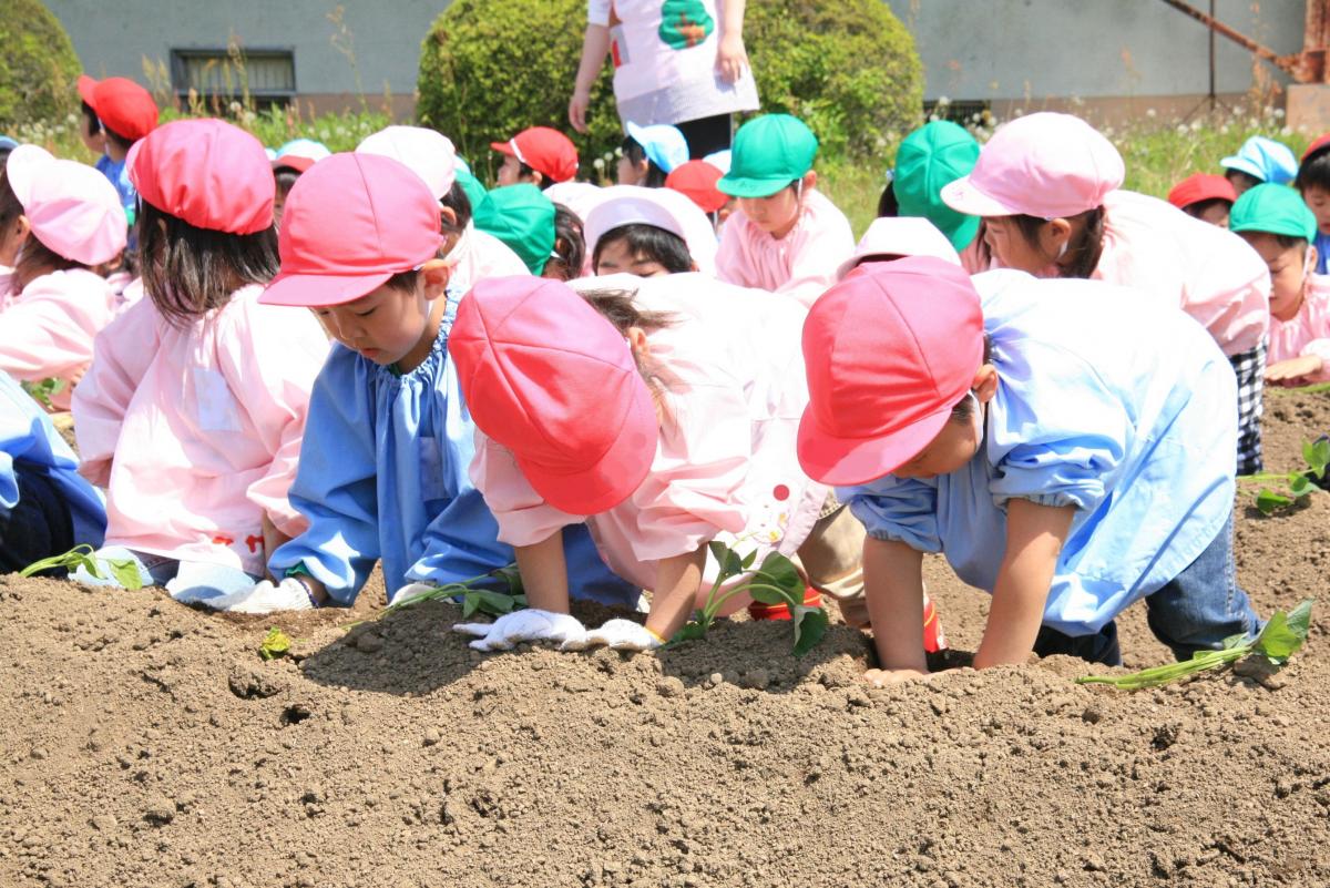 力いっぱい植え穴を掘る園児