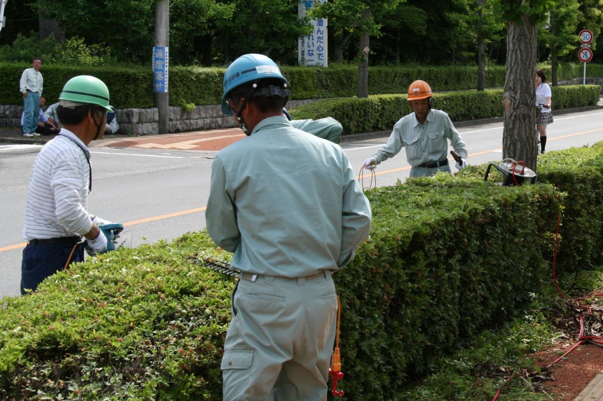 剪定が済み美しくなった植え込み