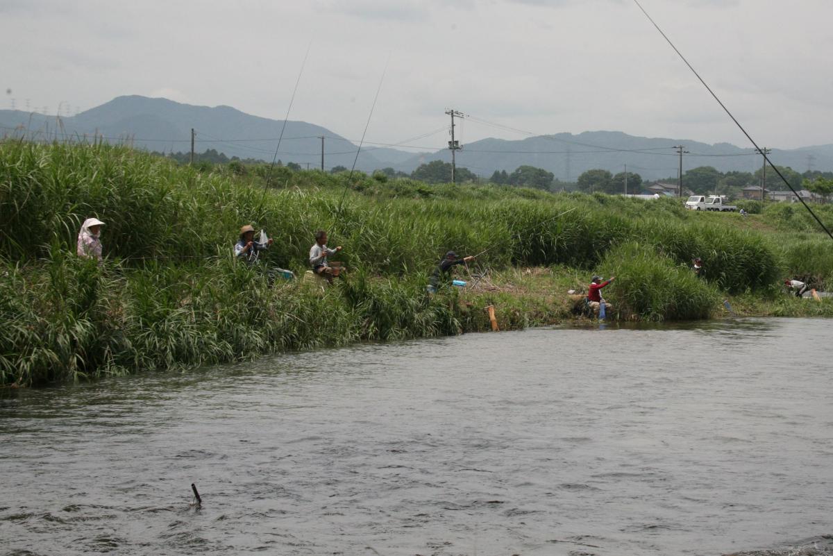 熊川　鮎釣り解禁（2010年7月1日撮影） 写真 5