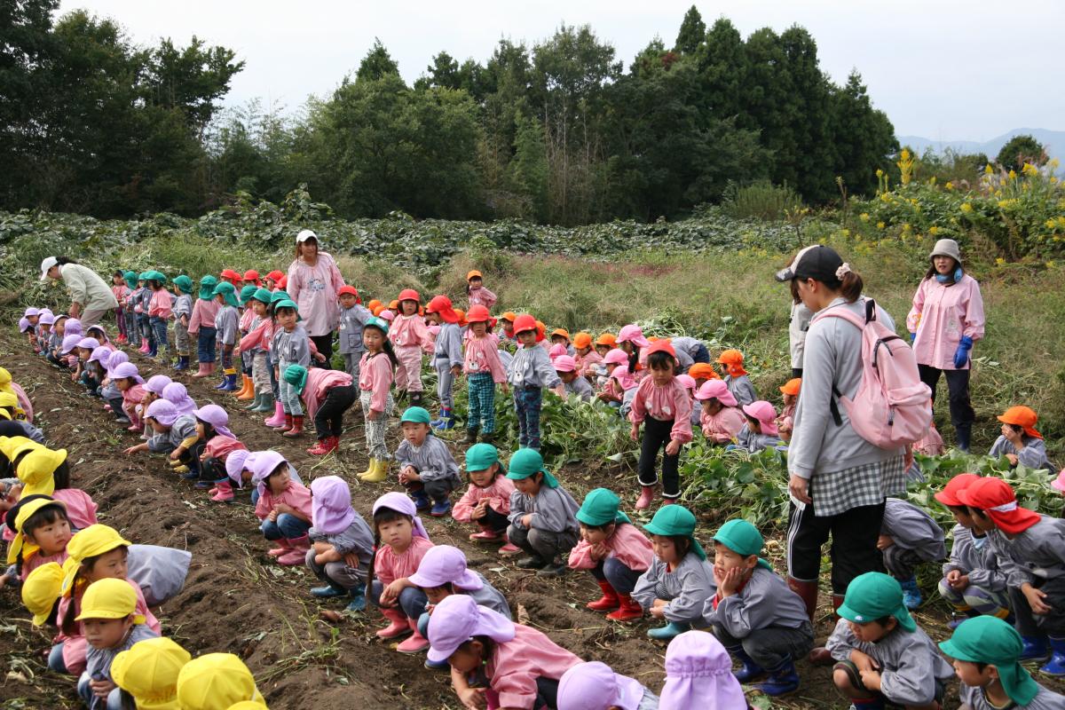 一列に並びさつまいも掘りの準備をする子どもたち