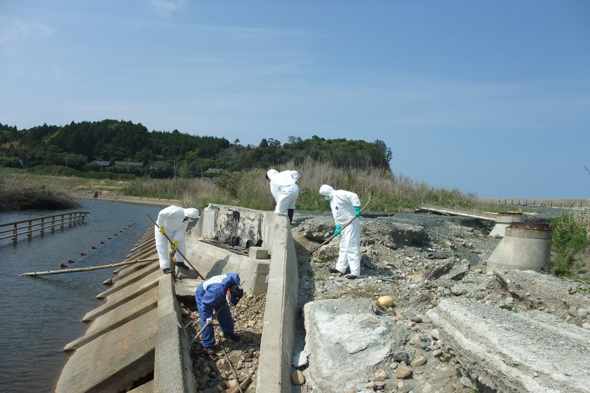 熊川海岸で行われた東日本大震災行方不明者一斉捜索で海岸を丹念に捜索する町消防団員と福島県警、海上保安庁の職員（2）