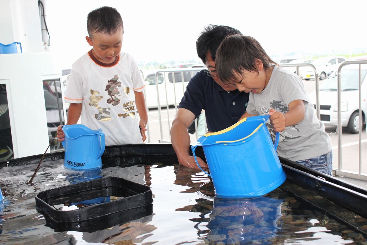 大きな水槽に手を入れて生きものをバケツに入れる男の子とそれを手助けするアクアマリン水族館の職員