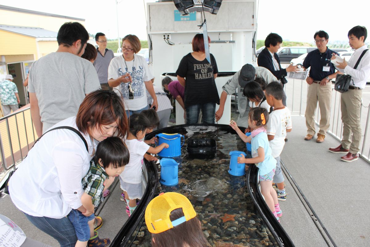 水槽にはヒトデやナマコ、伊勢エビなどがいて実際に触ることができました