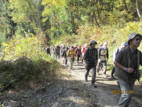 爽やか紅葉ウォーキング大会（2012年11月4日） 写真 1