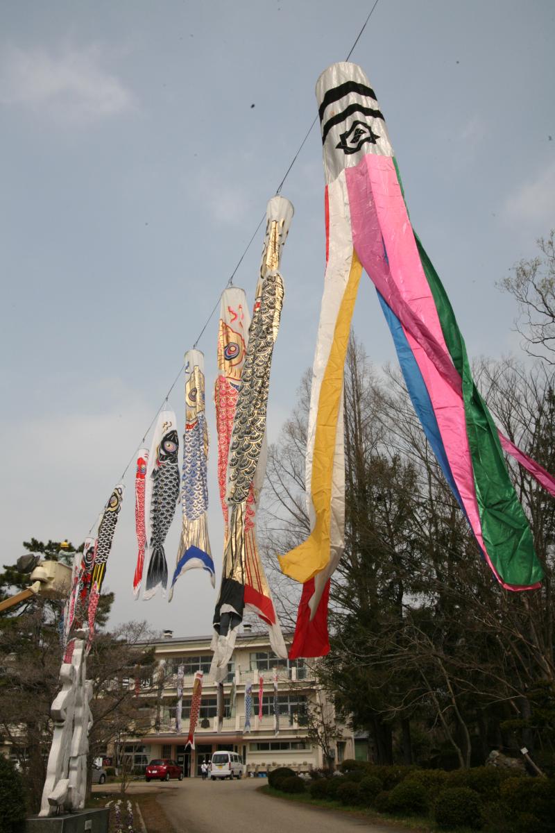 避難生活を送る児童の健やかな成長を願って掲げられた鯉のぼり