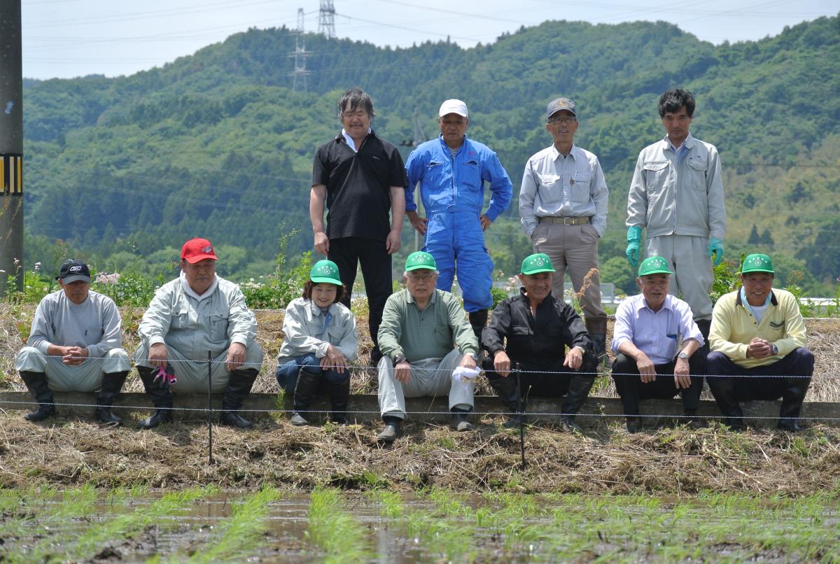 青々とした苗が風にそよぐ様子を気持ちよさそうに眺める町農業委員の皆さんと町職員