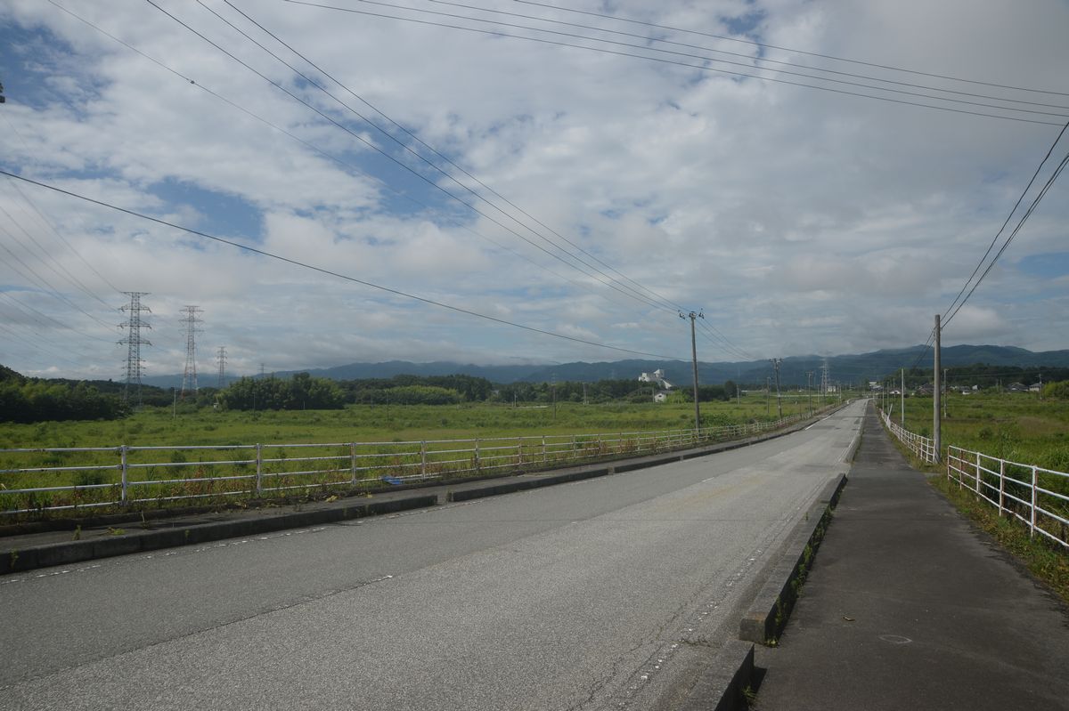 5年目の夏（2015年7月20日撮影） 写真 1