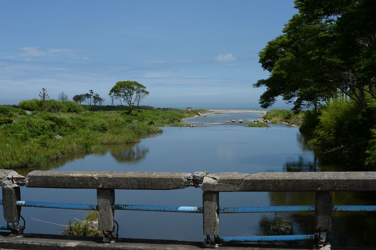 5年目の夏（2015年7月20日撮影） 写真 12