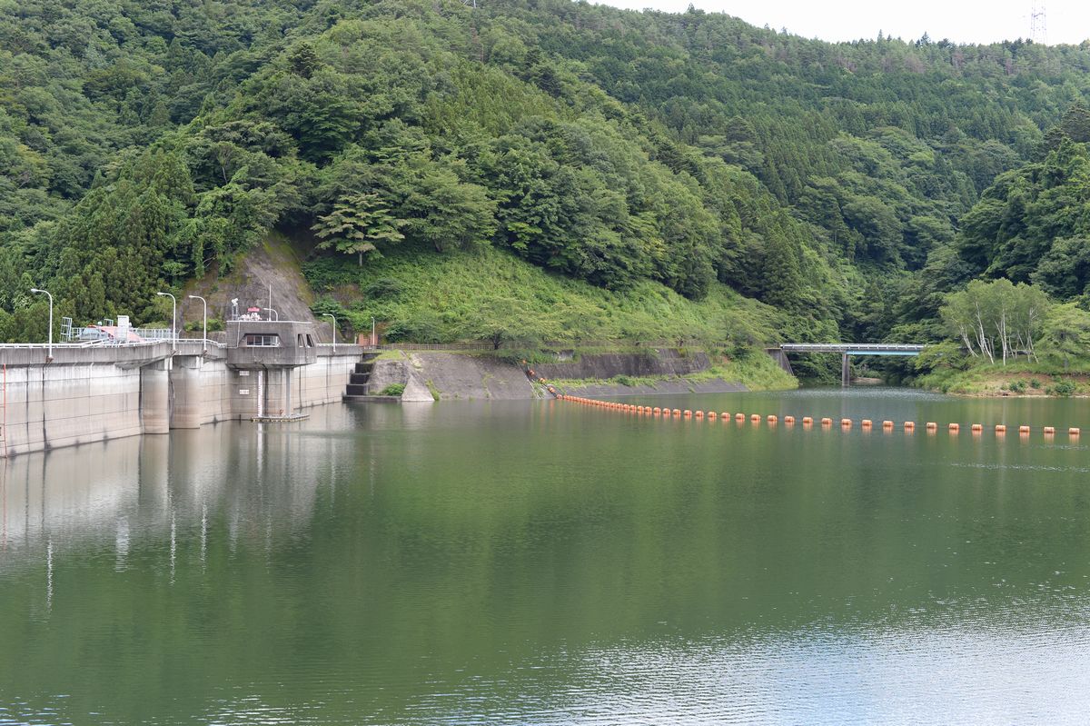 5年目の夏（2015年7月20日撮影） 写真 15