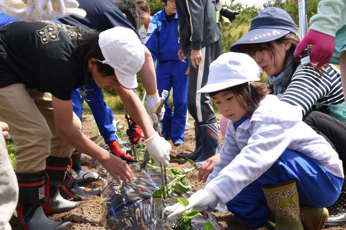 元気に苗を植える子どもたち