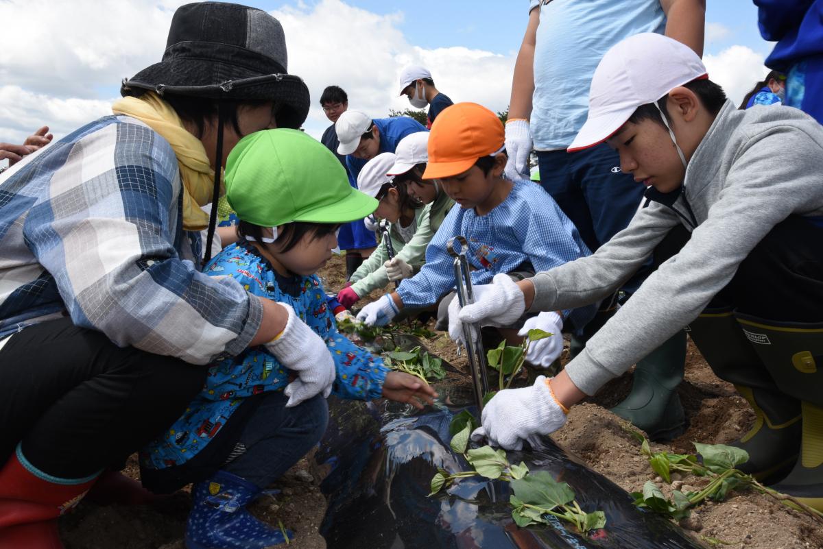 苗を植える子どもたち