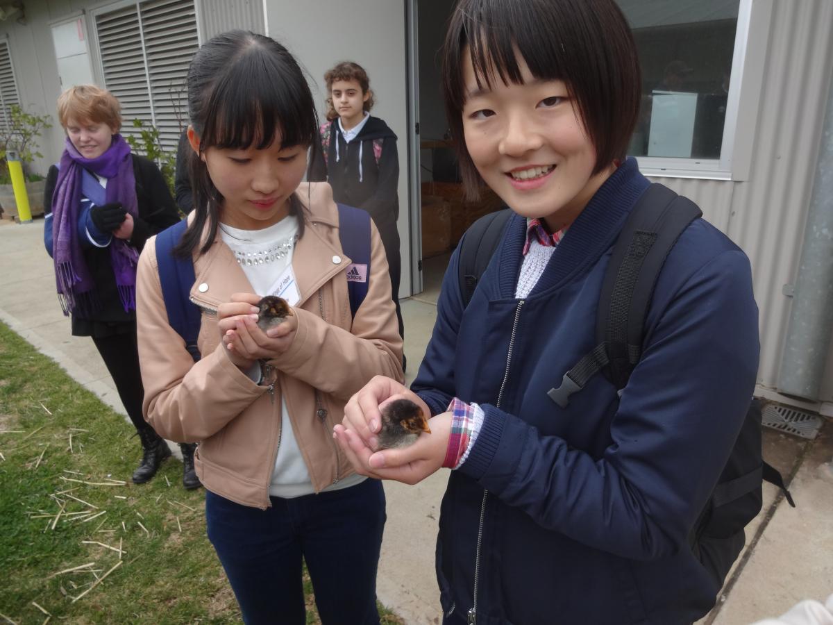 手のひらにすっぽり収まる程の小さな鳥をそっと抱く参加者