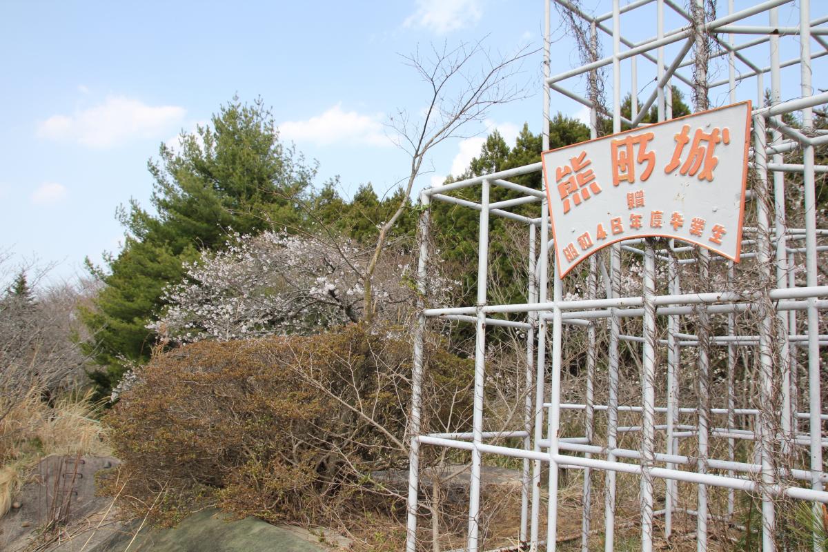 町内の桜「熊町小、三角屋交差点」（2017年4月14日撮影） 写真 4