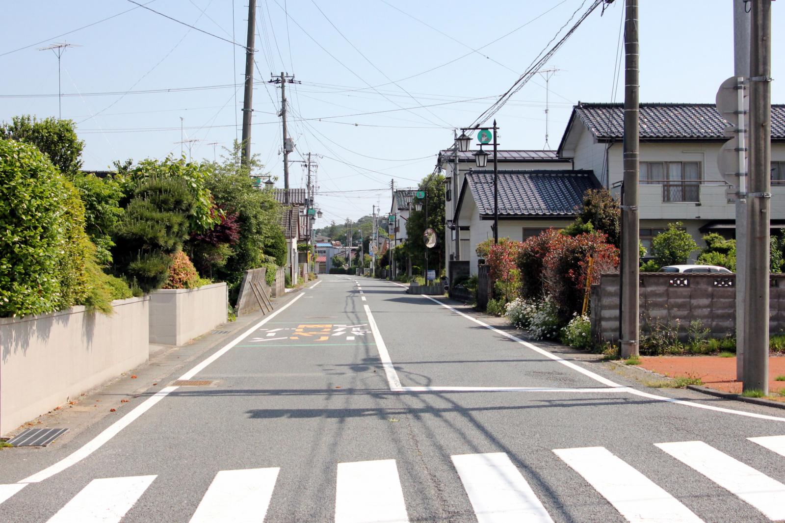 6月の調査立ち入り（2011年06月03日） 写真 5