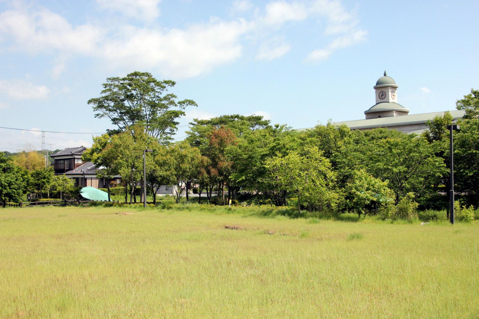 6月の調査立ち入り（2011年06月03日） 写真 10