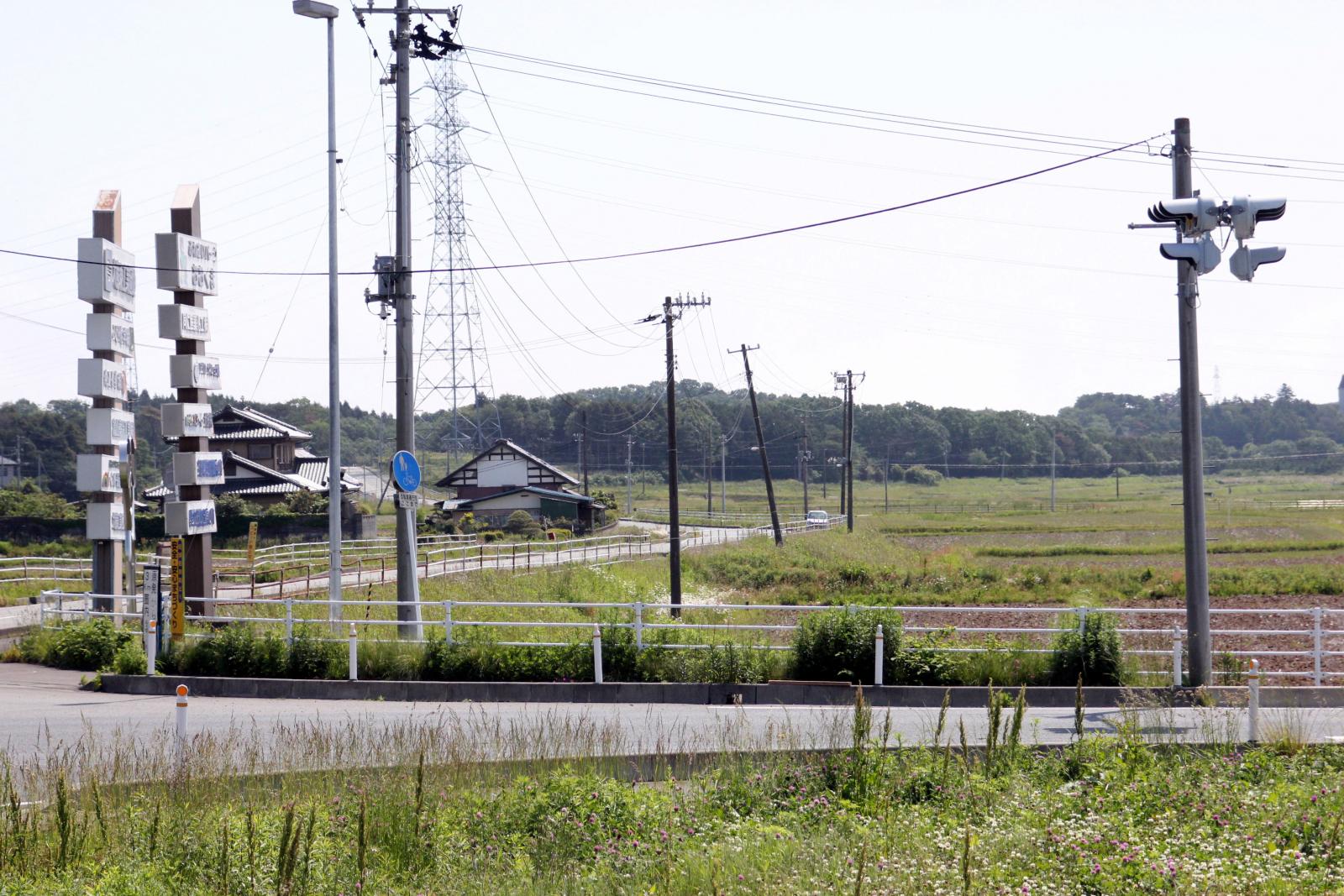 6月の調査立ち入り（2011年06月03日） 写真 11