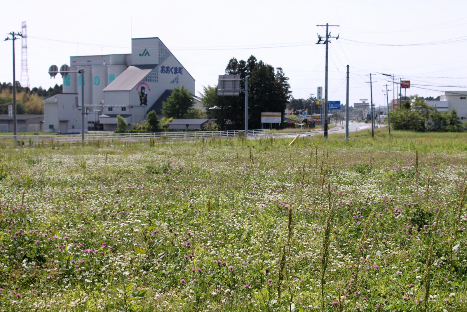 6月の調査立ち入り（2011年06月03日） 写真 12