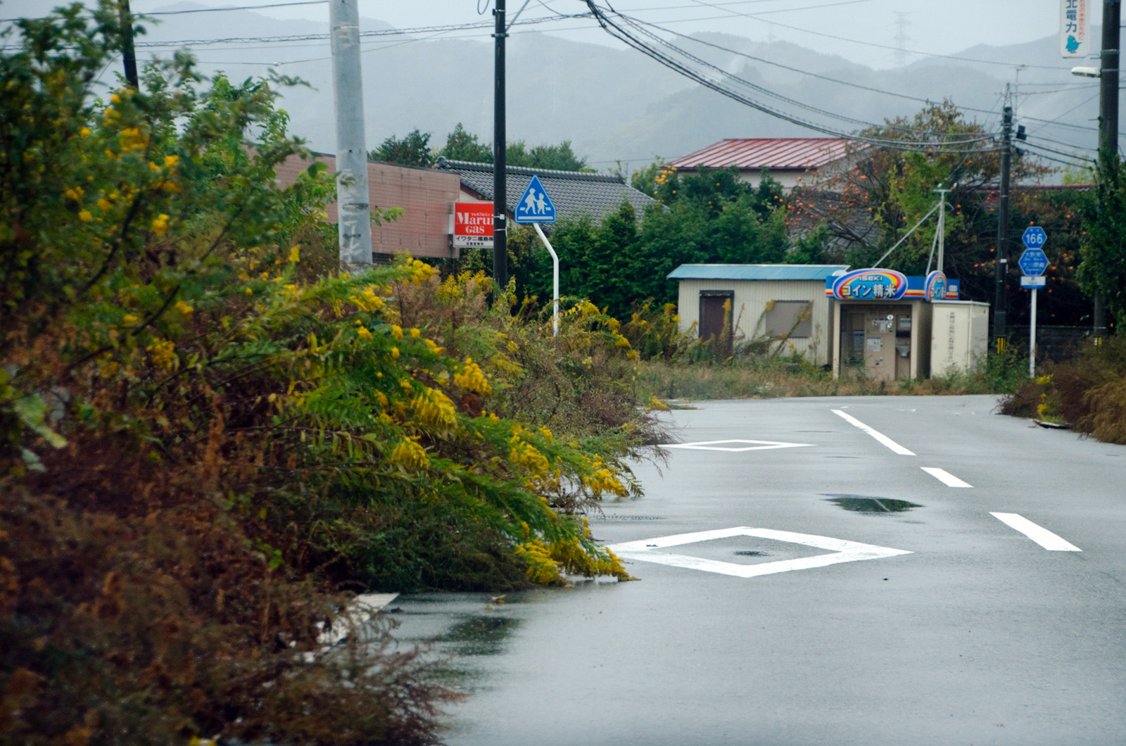 人だけが消えた町内（2012年） 写真 13