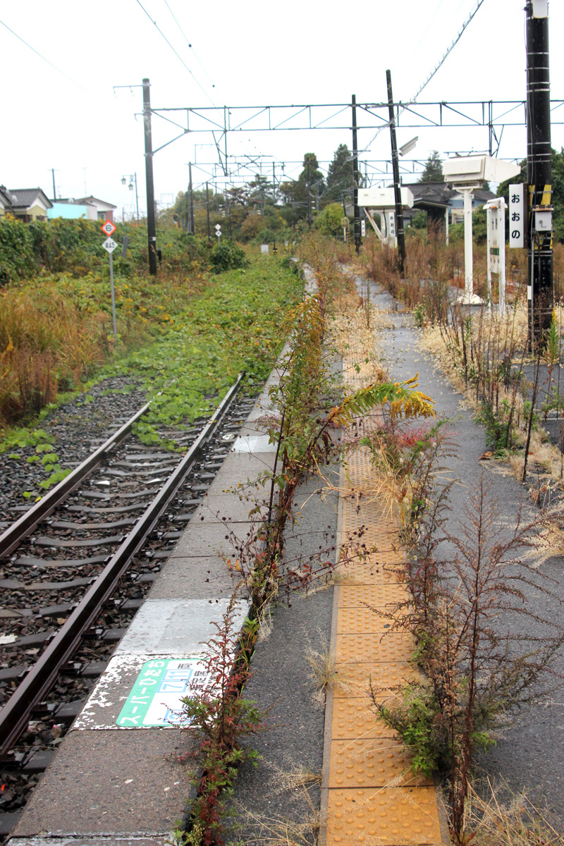 人だけが消えた町内（2012年） 写真 17