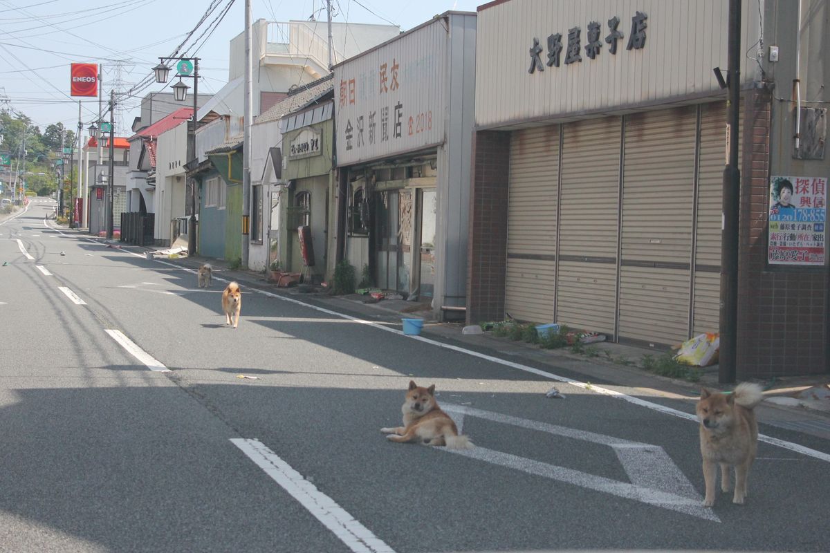 非日常、住民のいない町の日常 写真 5