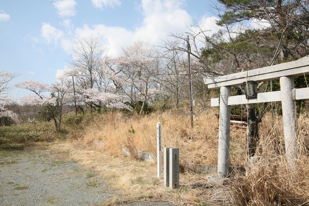 2014年 町内の桜見頃 写真 15