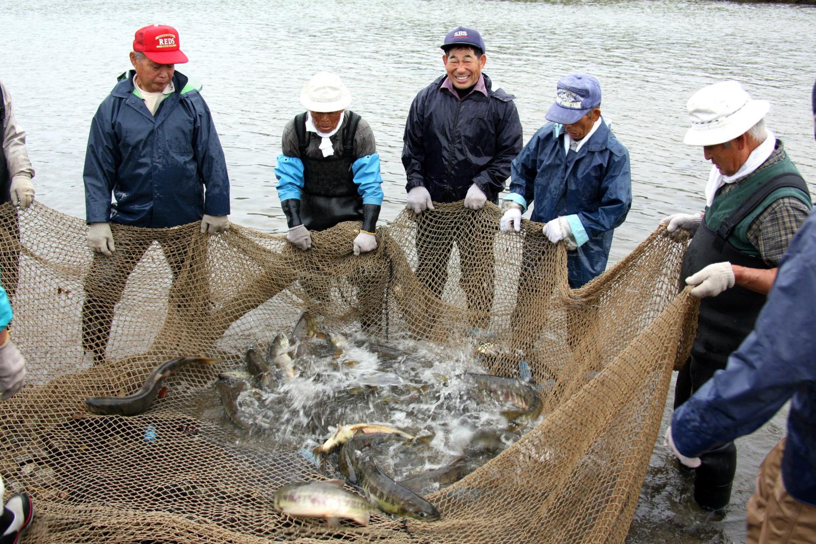 おおくまの行事 写真 11