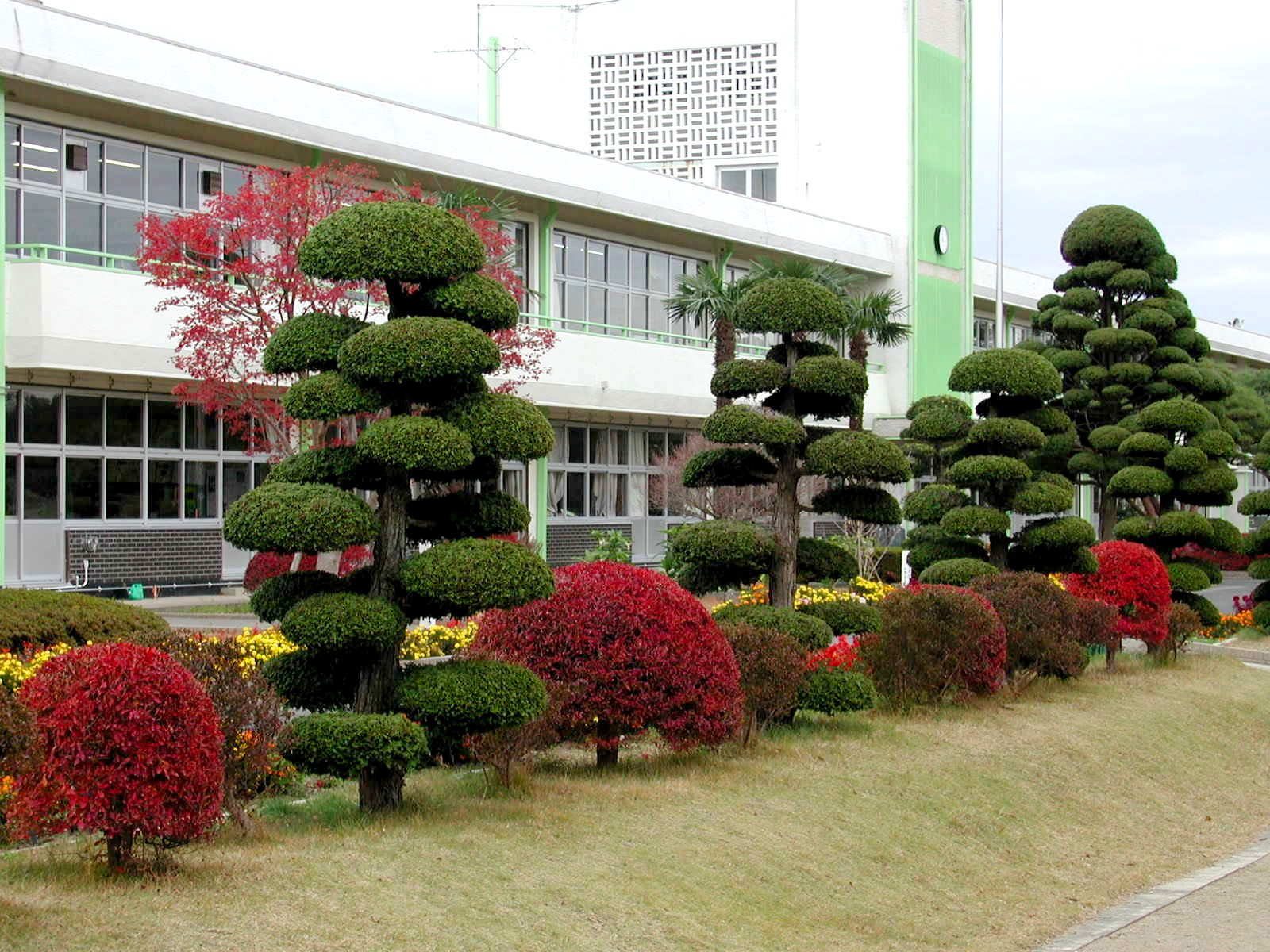 熊町小学校 写真 3