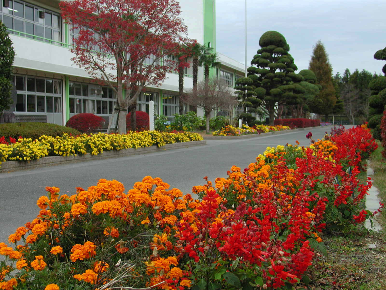 熊町小学校 写真 4