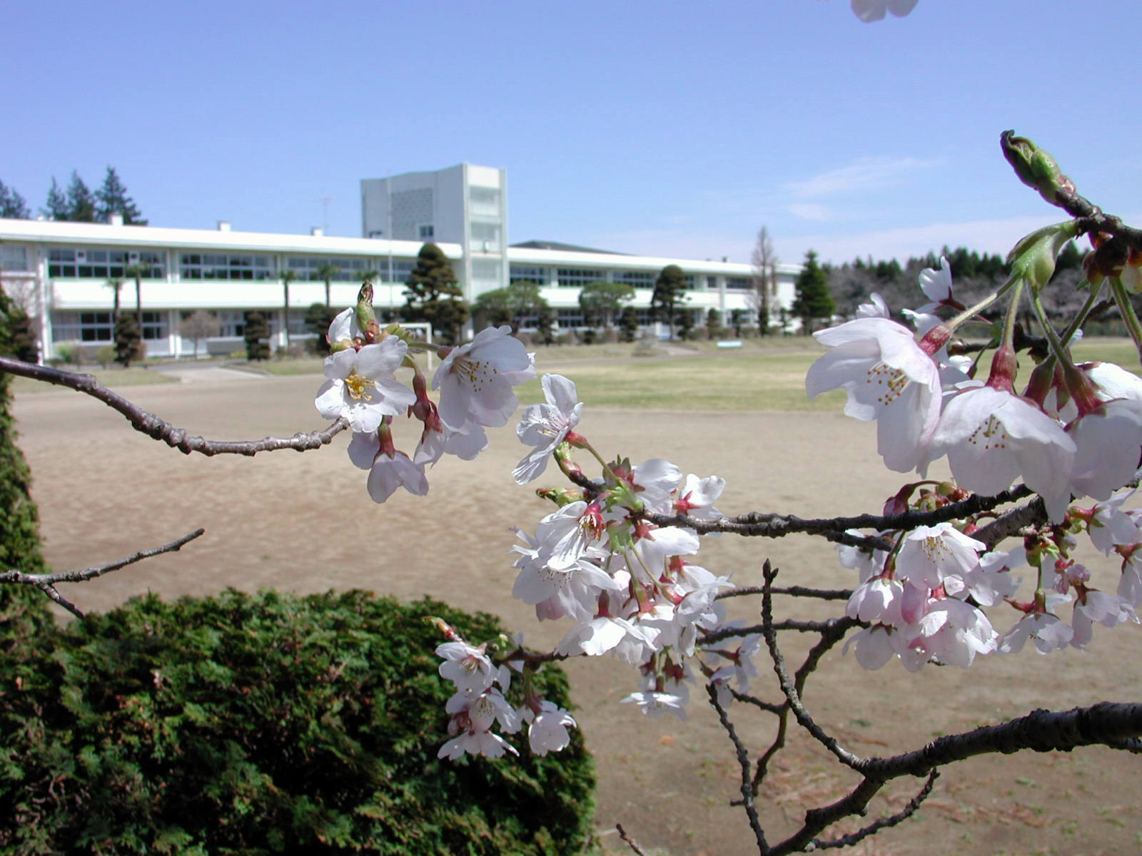 熊町小学校 写真 2