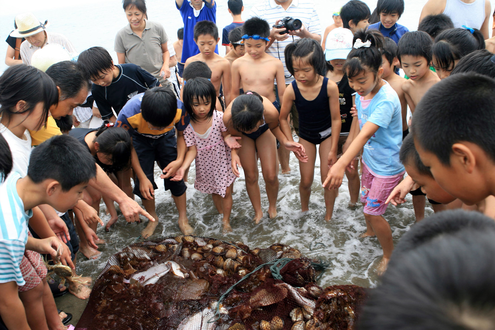 大熊での夏の風景 写真 8