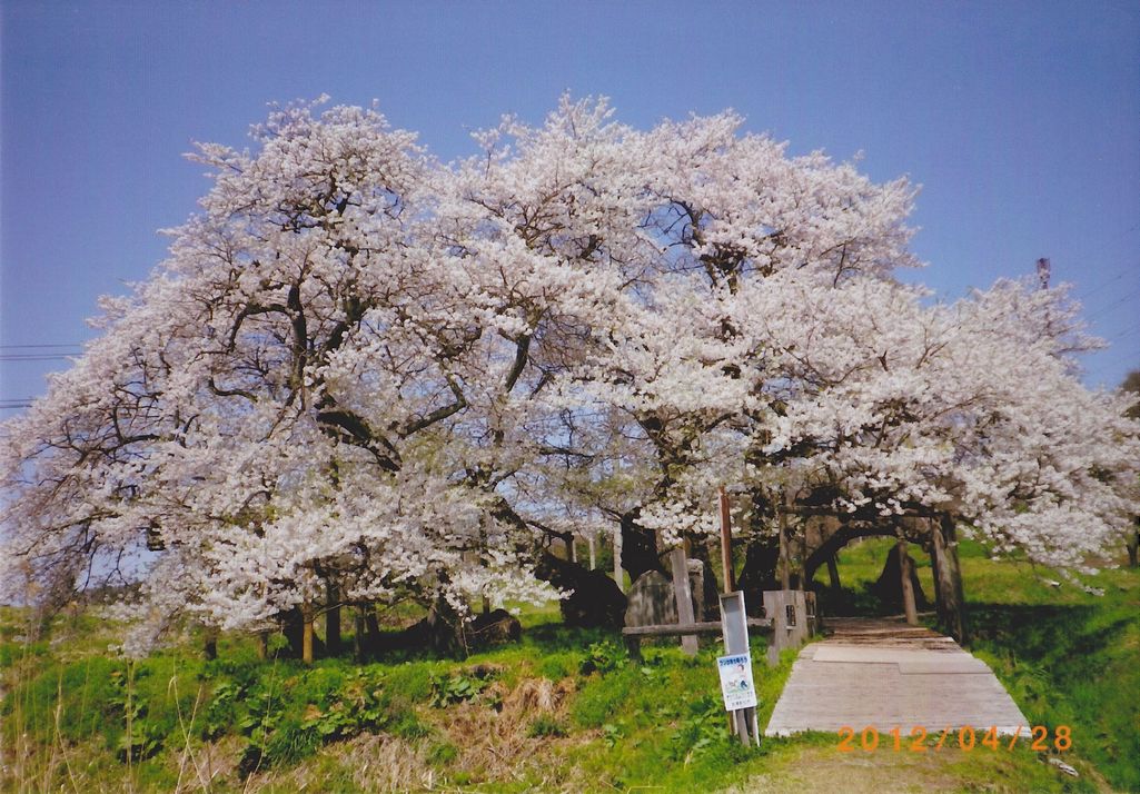 震災前の我家と避難先の会津の風景 写真 4