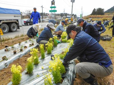 次々に花を植えていく参加者