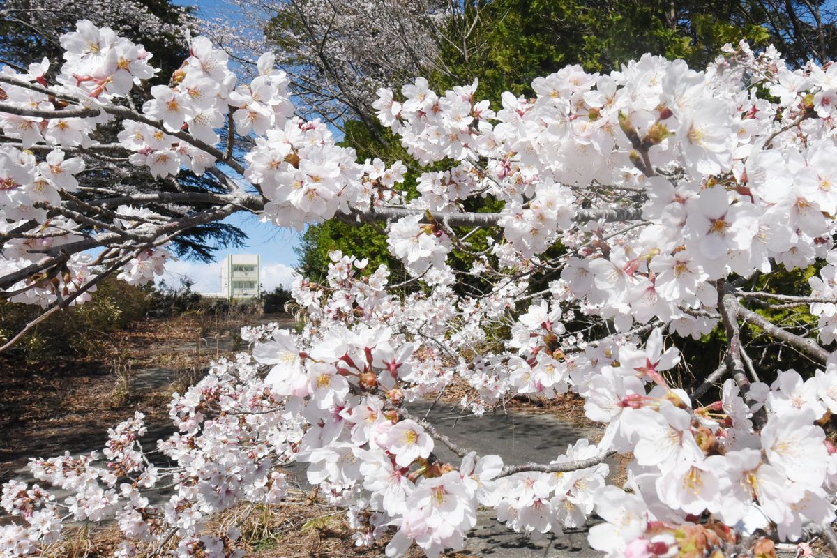 熊町小学校