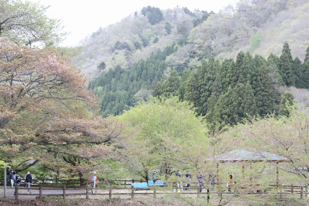 東屋から先の道路は普段封鎖されていますが、当日は特別に開放されダム湖を一周することが可能になりました