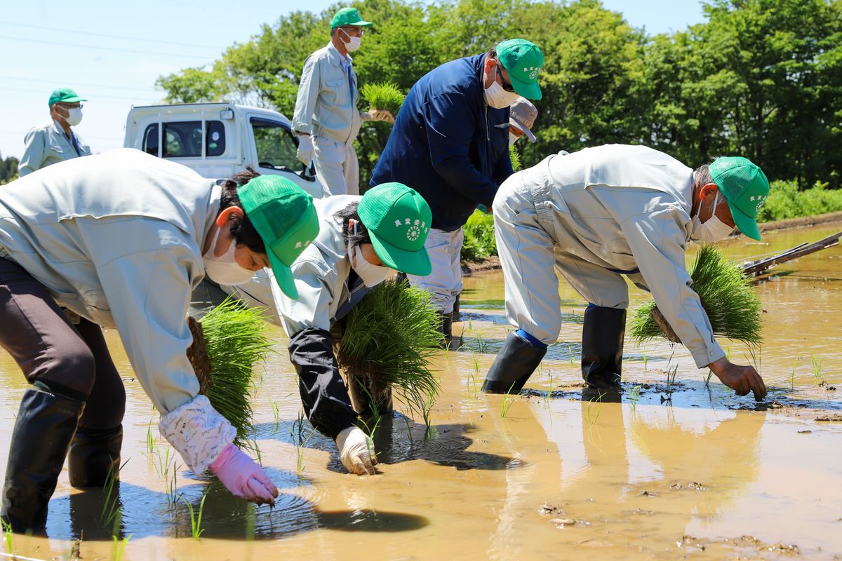 町内熊旭台で5月10日、田植えが行われました。