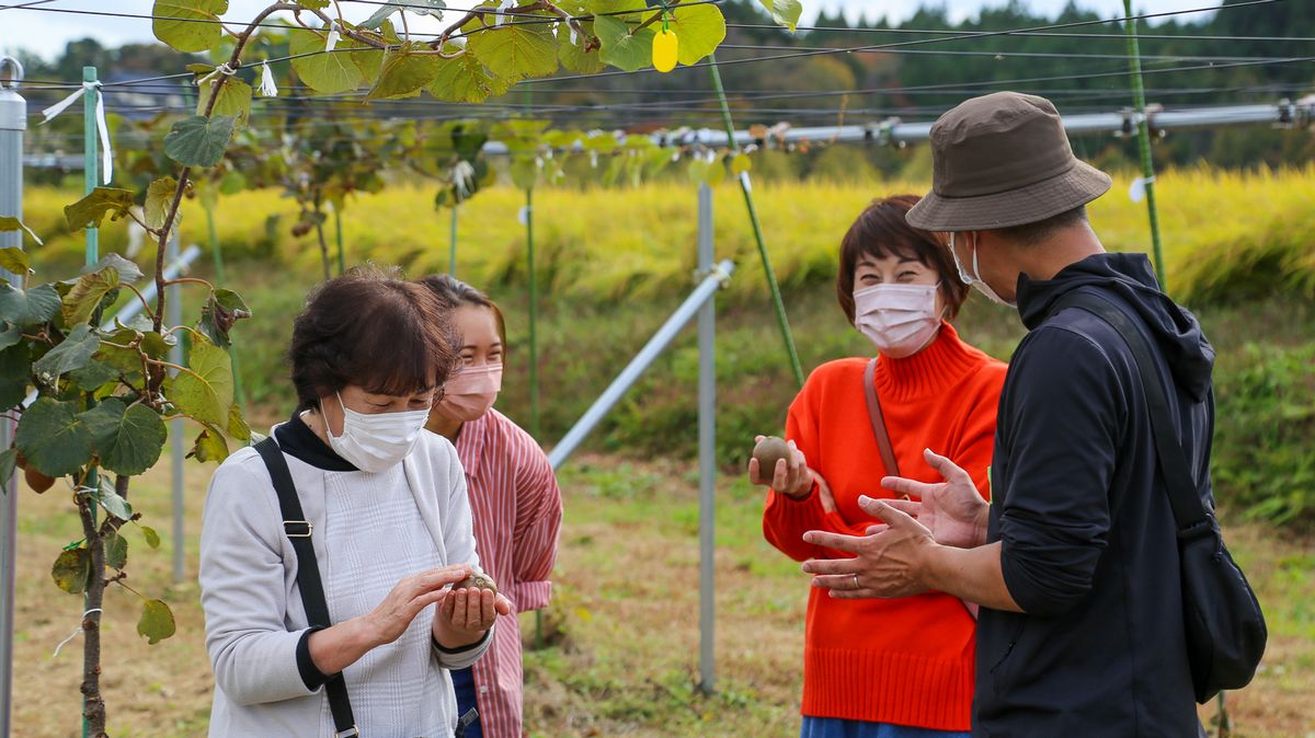 キウイの栽培について説明を受ける来場者