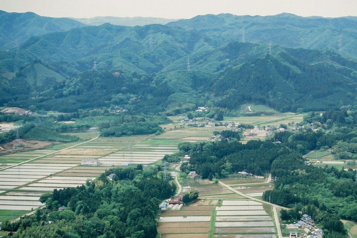 震災前の南平の航空写真。