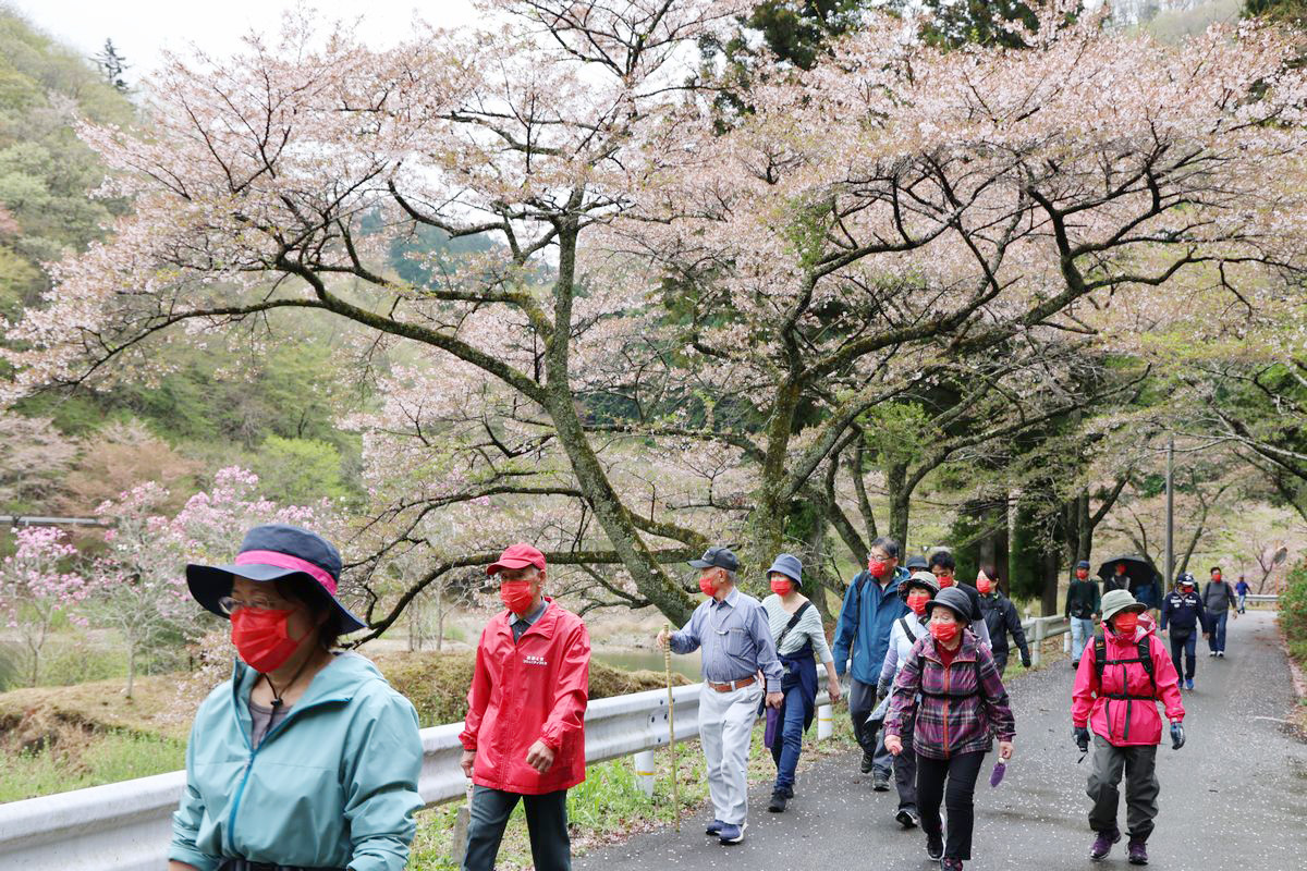 参加した町民らはダム湖周辺の景色を眺めながら散策を楽しみました。