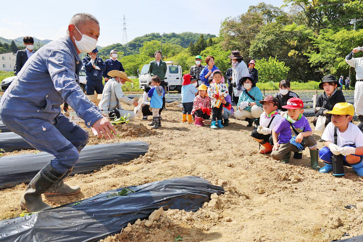 今年は学び舎ゆめの森の園児・児童12人が参加し、食育の一環で苗植えを体験しました。子どもたちが畑に着くと農業委員から苗植えの説明が行われました。