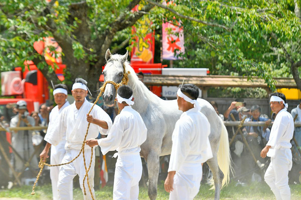 神馬として奉納する裸馬を捉える御小人ら