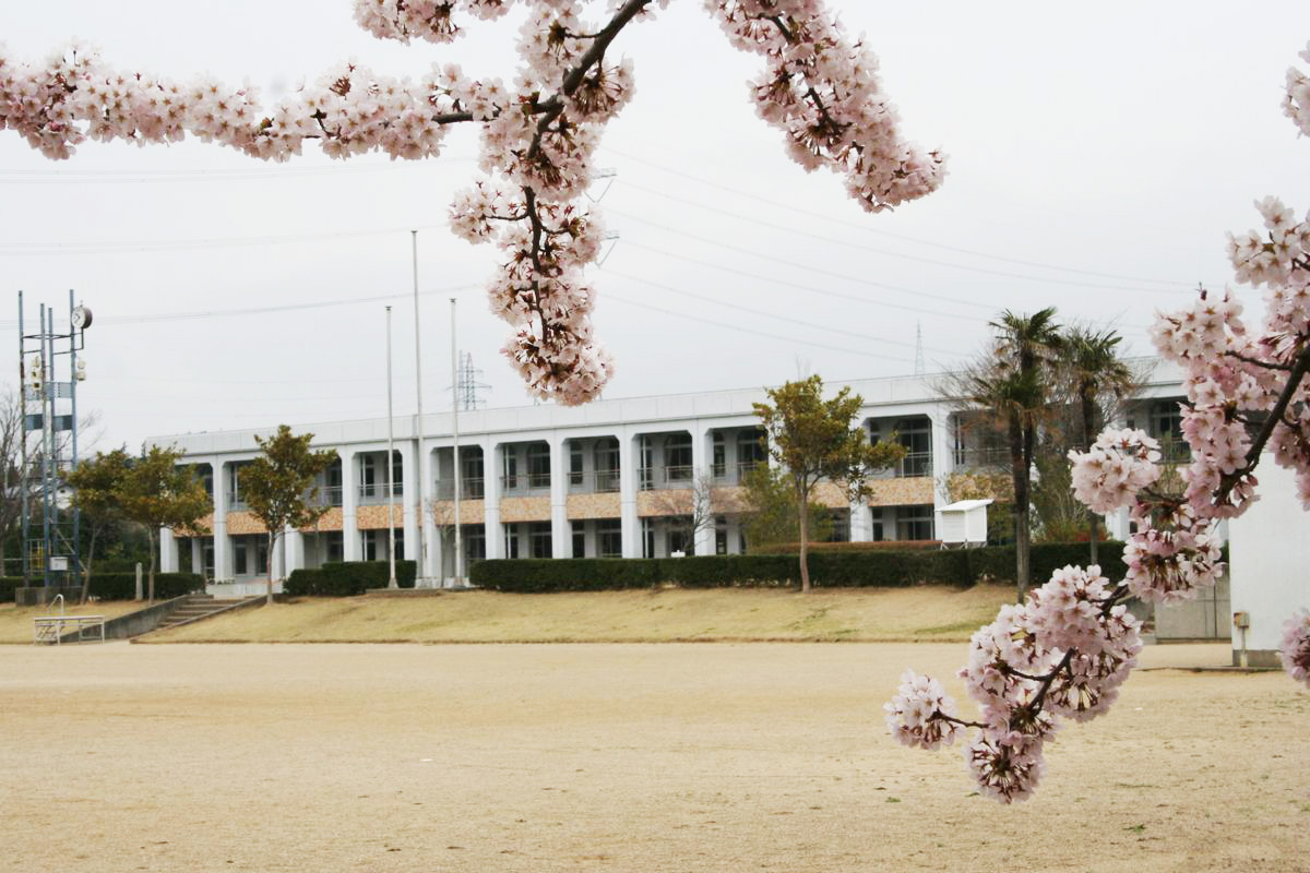 校庭から見る大野小学校校舎 2006年4月19日撮影