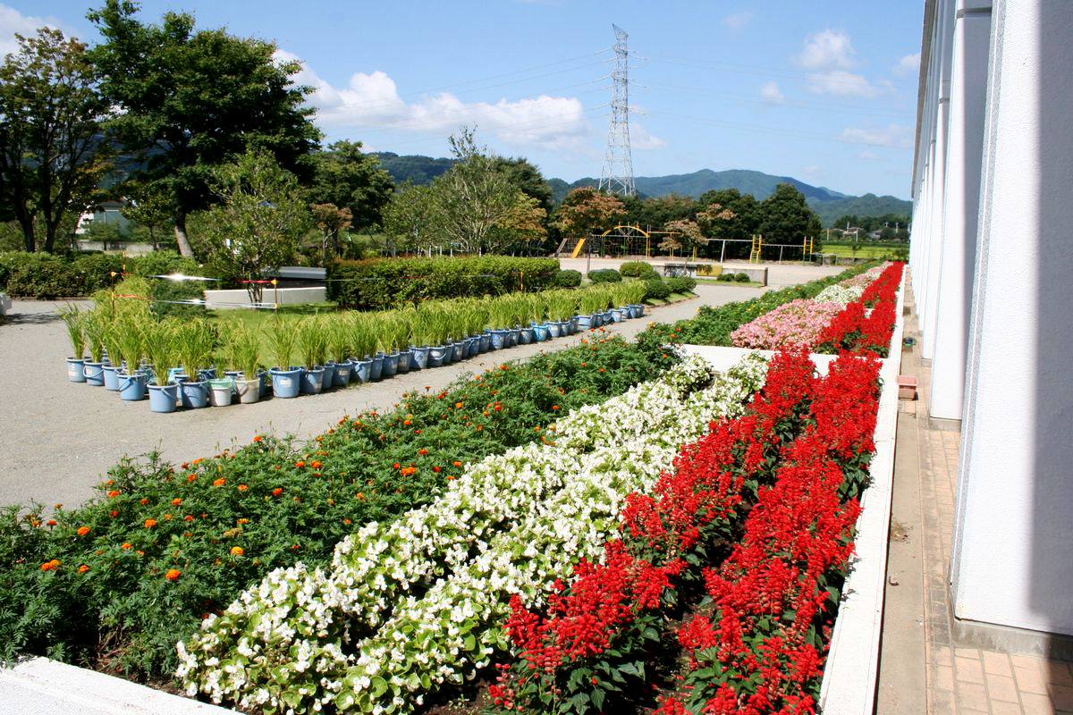 大野小学校中庭に整備された花壇(夏)  2006年8月31日撮影