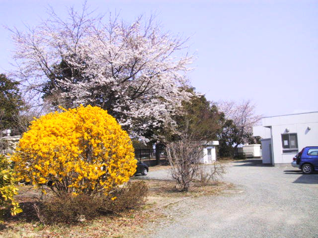 大野小校舎